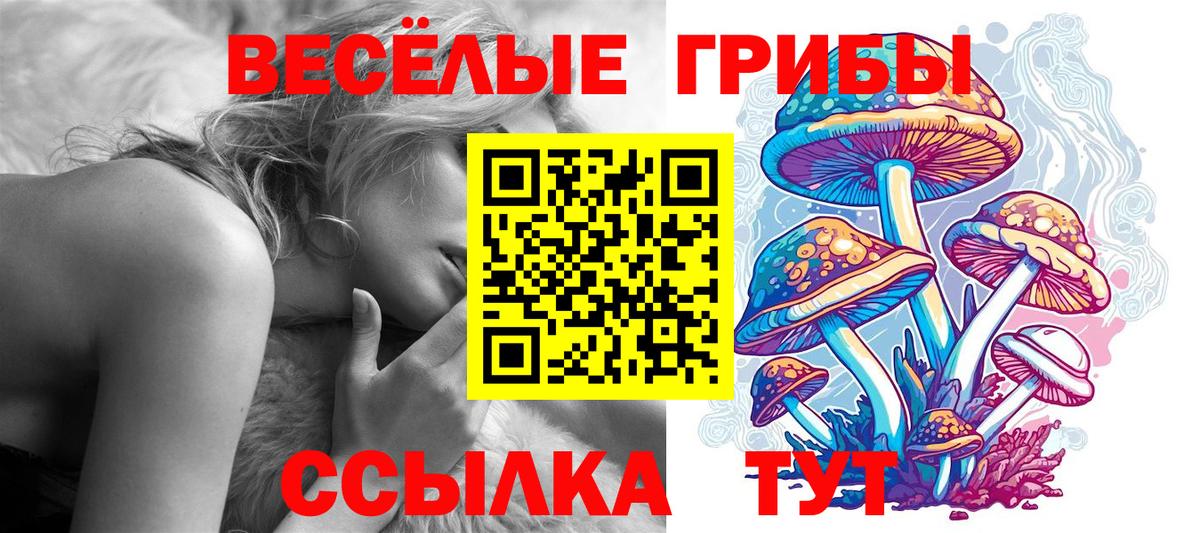 Галлюциногенные грибы GOLDEN TEACHER  Галлюциногенные грибы MAGIC MUSHROOMS  где купить   Вход с VPN  Красноуфимск 