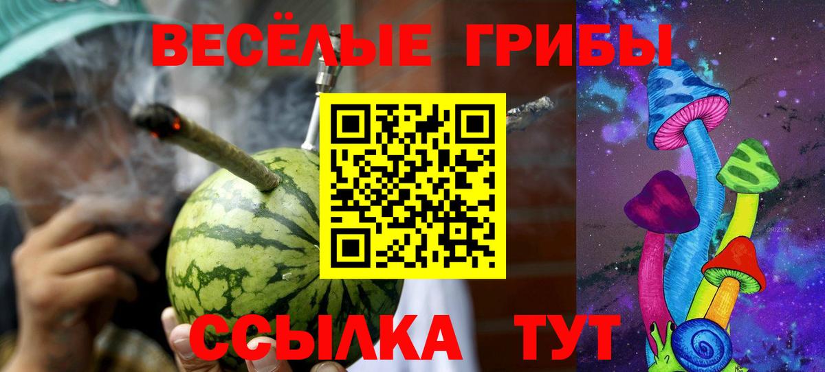 Псилоцибиновые грибы Cubensis Красноуфимск